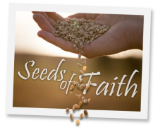 Seeds of Faith
