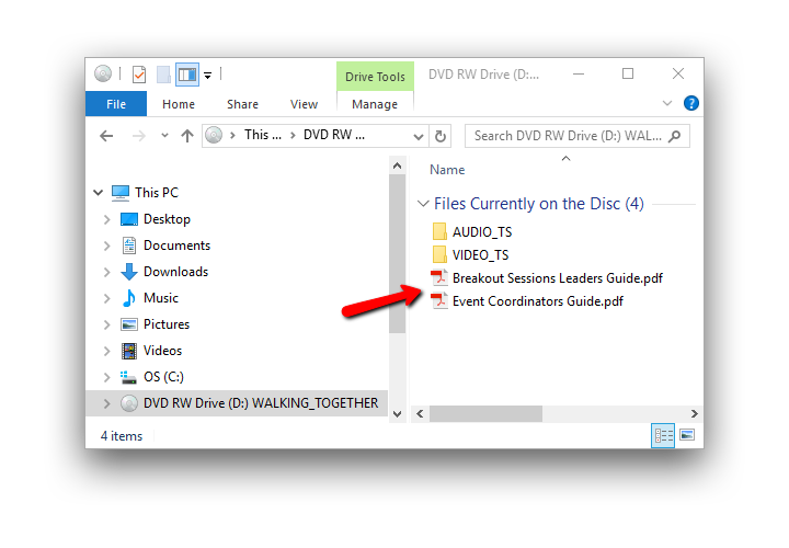 Screenshot of DVD contents (Windows File Explorer)